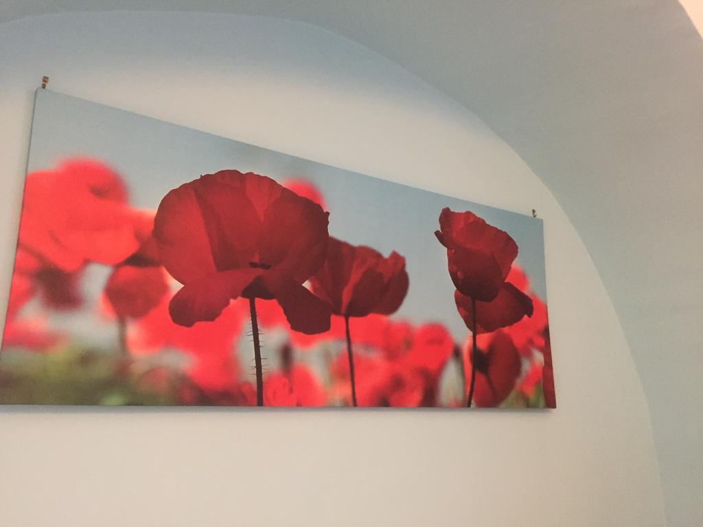 La Rosa Blu 2 Bed & Breakfast Santeramo in Colle Exterior photo